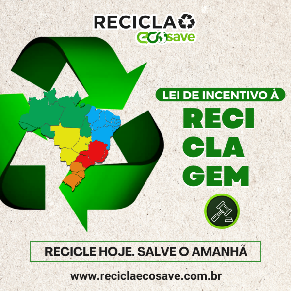 ENGENHEIRO FLORESTAL (6)