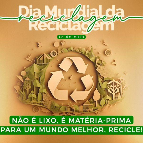 web copiar